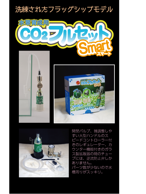 co2 of AInet WEB SITE