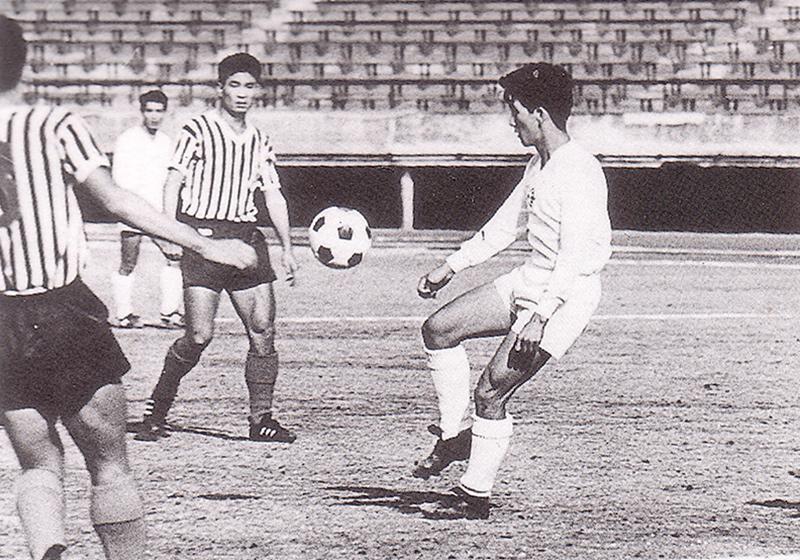 サイハッケン – 南部再生