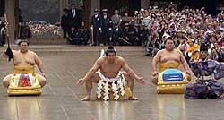 写真特集1 引退・横綱若乃花