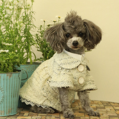 GG MADE IN TOKYO.』『GG+KIITI』『GG DENIM LINE』『Chocolat de