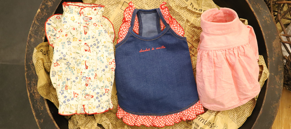 GG MADE IN TOKYO.』『GG+KIITI』『GG DENIM LINE』『Chocolat de