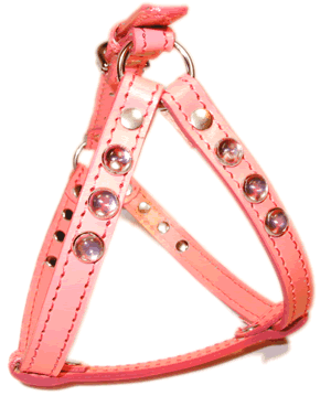 犬の首輪,ハーネス