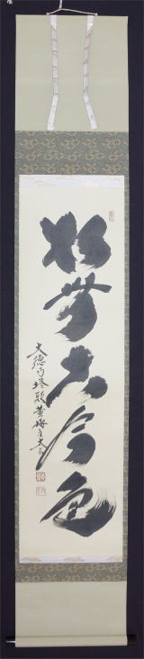 は*る様 小林太玄『松無古今色』茶道具 一行書 共箱