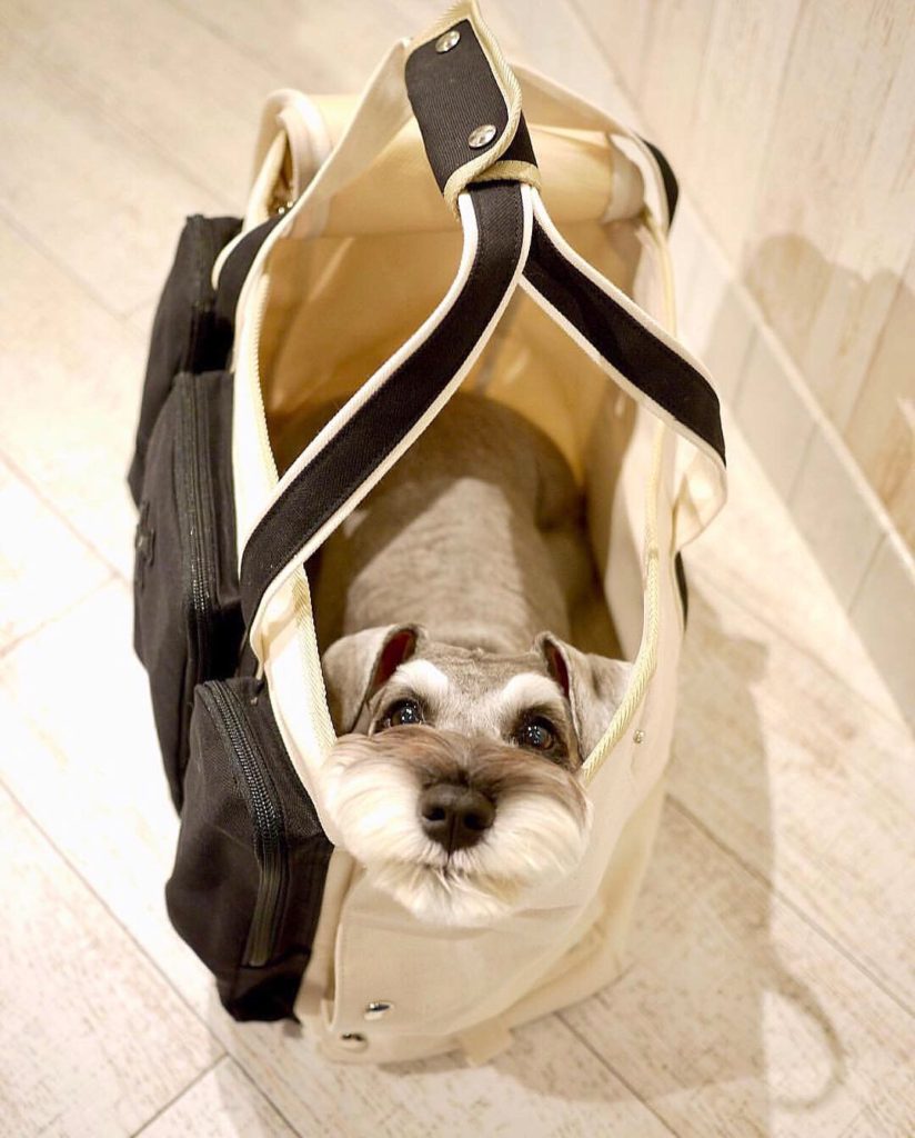 living – ページ 2 – blog-design f