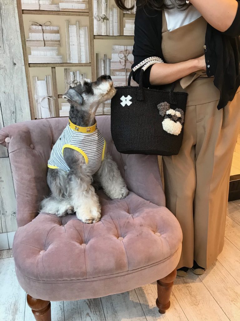 デザインF design f マシュマロバック