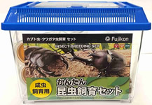 セット（カブトムシ・クワガタムシ）