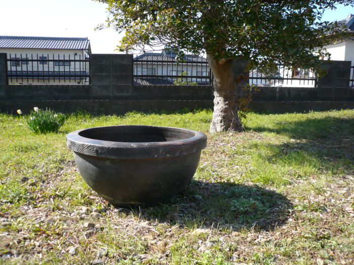 古美術 神田 - 常滑 睡蓮鉢 | 古美術品専門サイト fufufufu.com