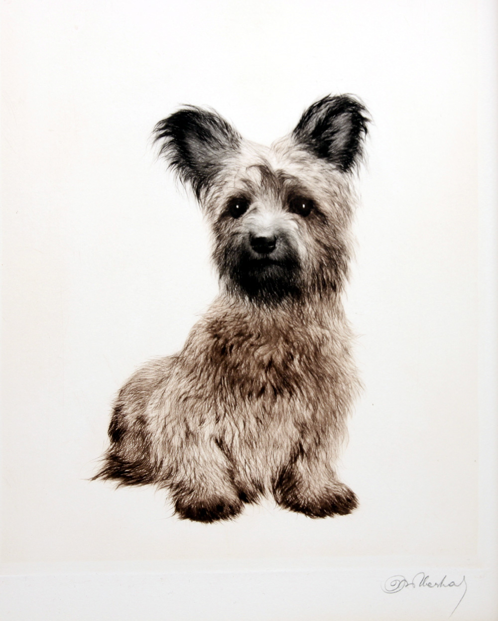 2匹のテリア犬』ヴィンテージ銅版画 Meyer Eberhardt 2匹のテリア犬