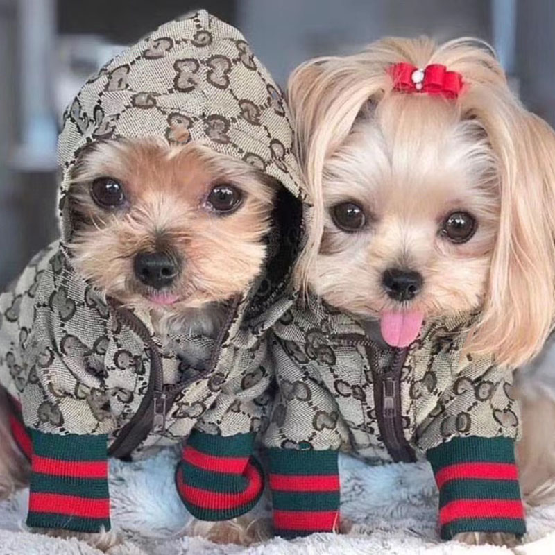 新品 GUCCI グッチ ペット用 レザー リード 愛犬 お散歩 ブラック