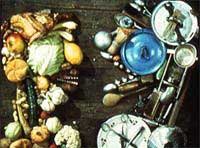 シュワンクマイエルの不思議な世界」 LD / レーザーディスク シュワン