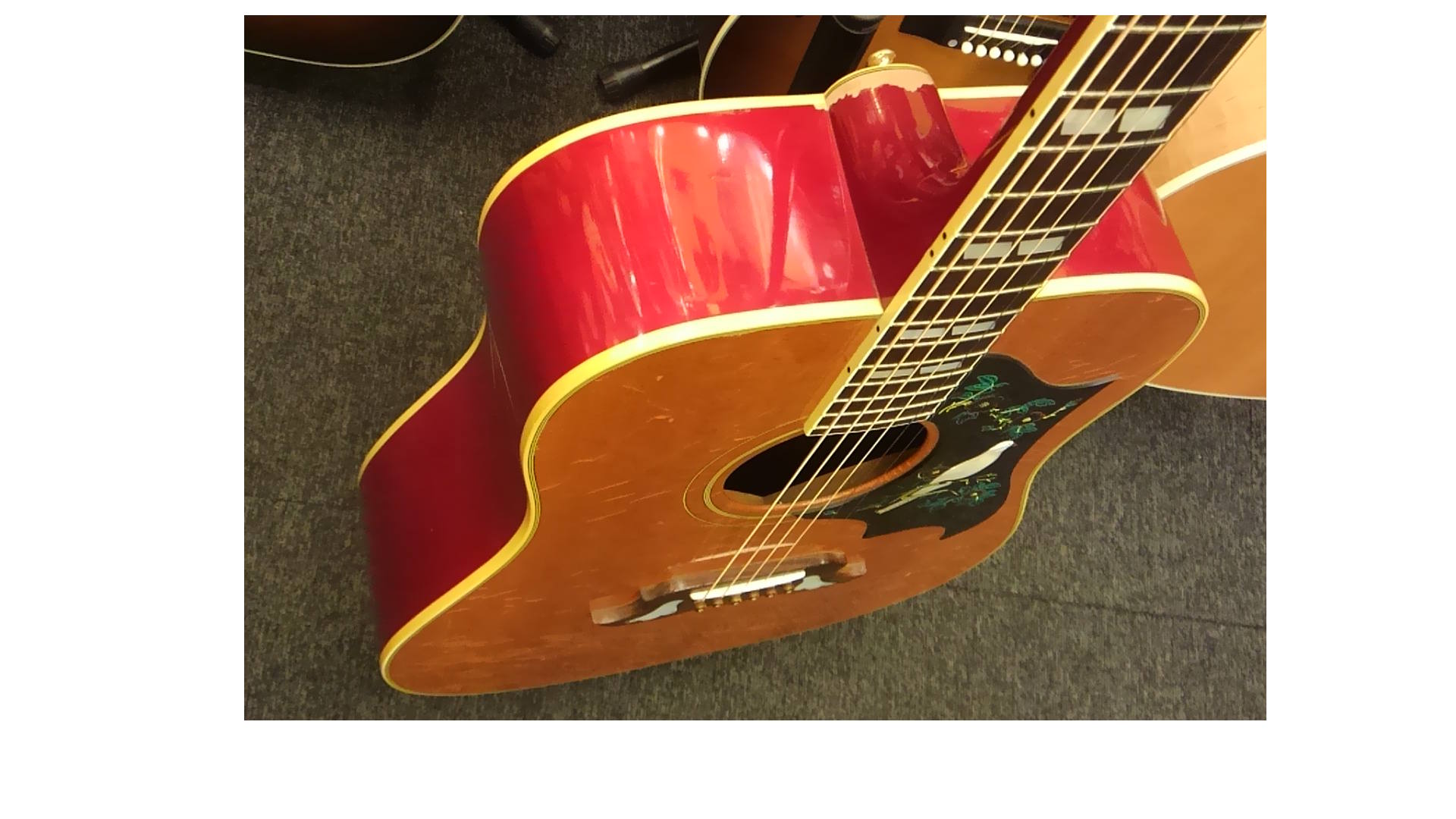 Aria DOVE CUSTOM WD-30/美品 ショップ Aria DOVE CUSTOM WD-30/美品