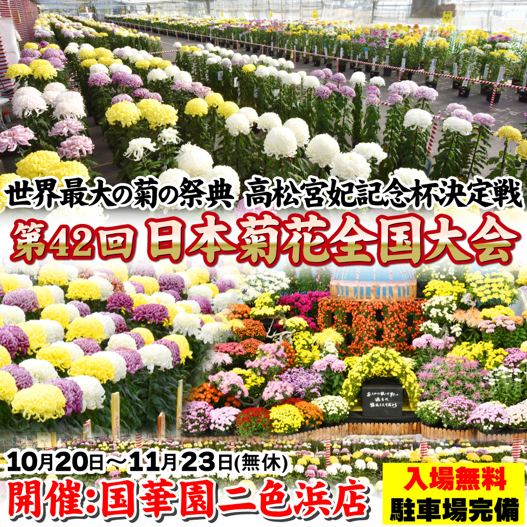 日本菊花全国大会 公式サイト