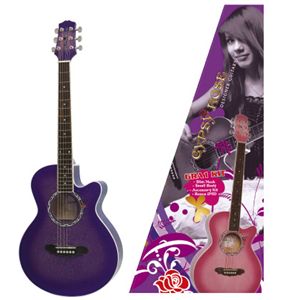 ジプシーローズ アコースティックギター 楽天市場】ジプシーローズ