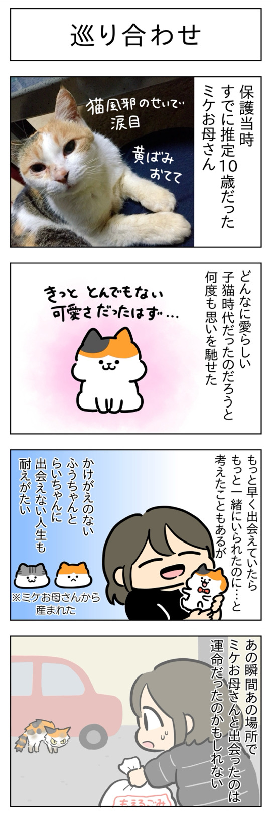 のののさま確認ページ♡ みけ様確認ページ のののさま確認ページ♡ の