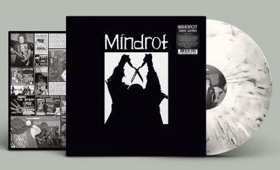 60s〜70s DISK CASE オレンジ レコードケース 東京のレコードショップ