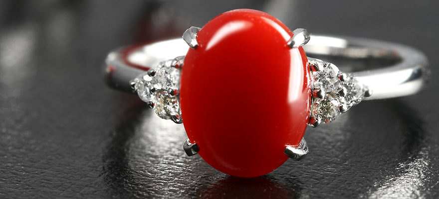 Y2678-1 国産赤珊瑚原木 血赤珊瑚 総重量28.7g 太軸 Y2678-1 国産赤