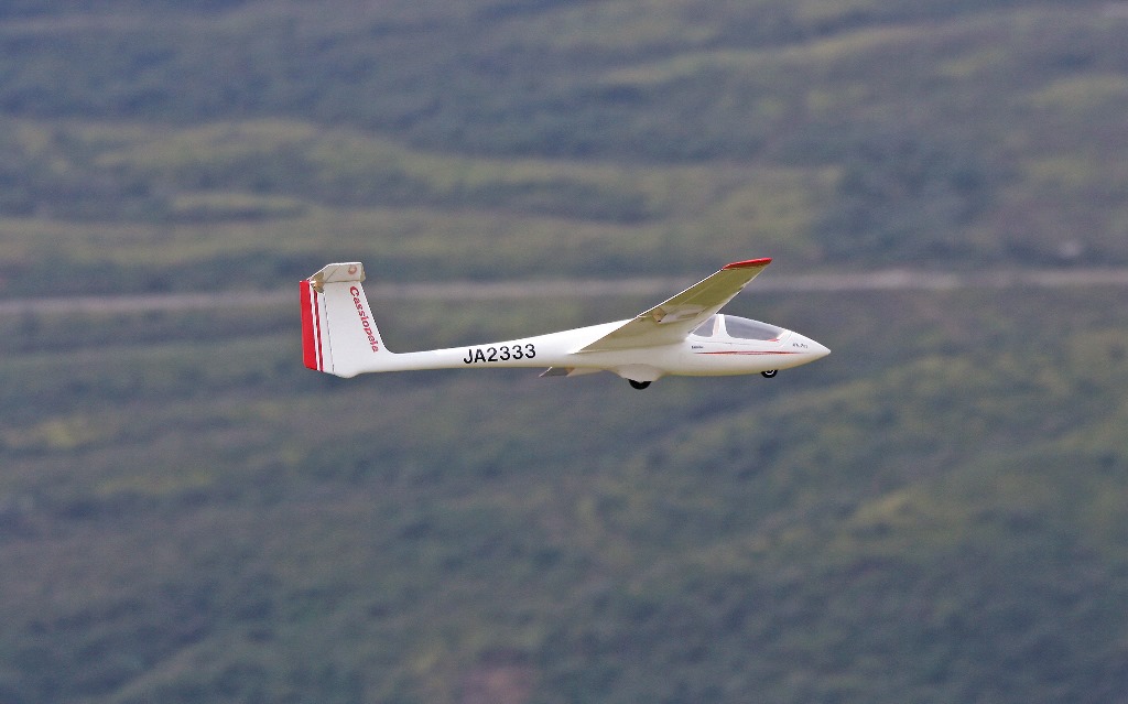 mini ASK21-G ARF グライダー ASK-21 scale glider - setup and maiden