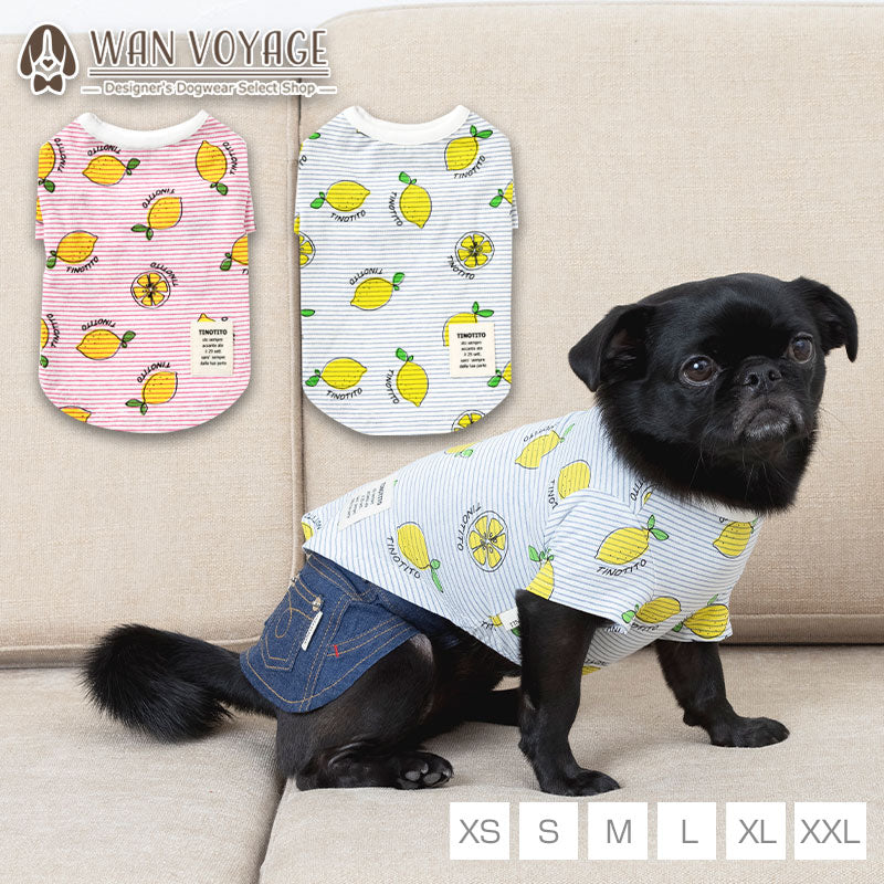 レモン柄Tシャツ XS/S/M/L/XL/XXL TINOTITO -ティノティート- 犬服
