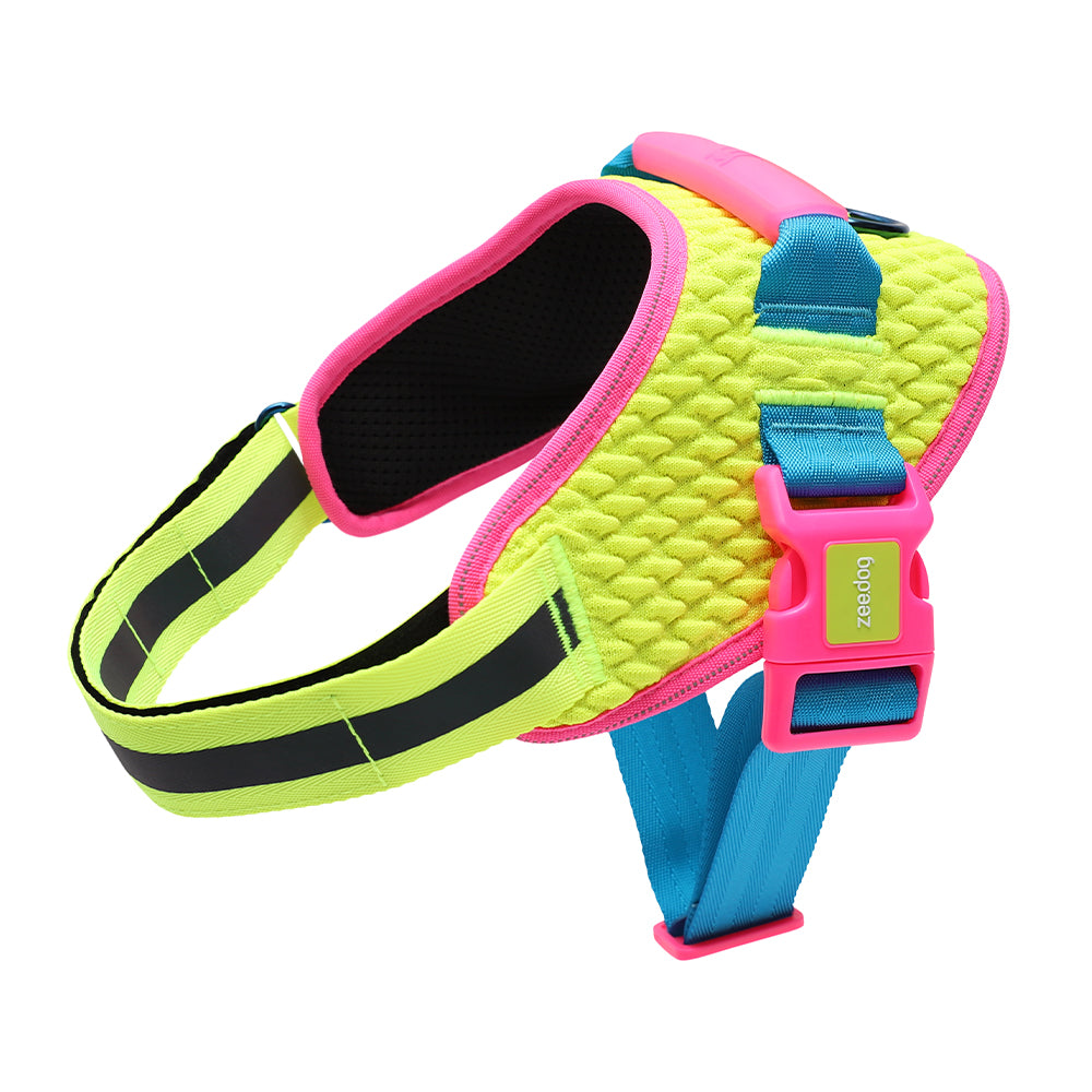 レア Jimmy Choo ドッグハーネス ジミーチュウ 犬用 ハーネス S