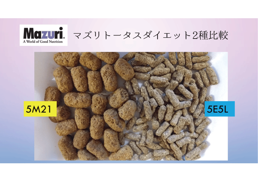☆送料無料・最安値に挑戦【マズリMazuri】5M21 トータスダイエット