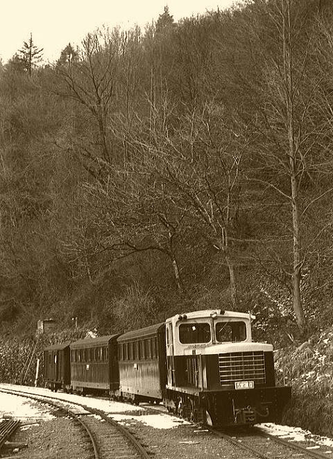 木曽森林鉄道 プレス・アイゼンバーン