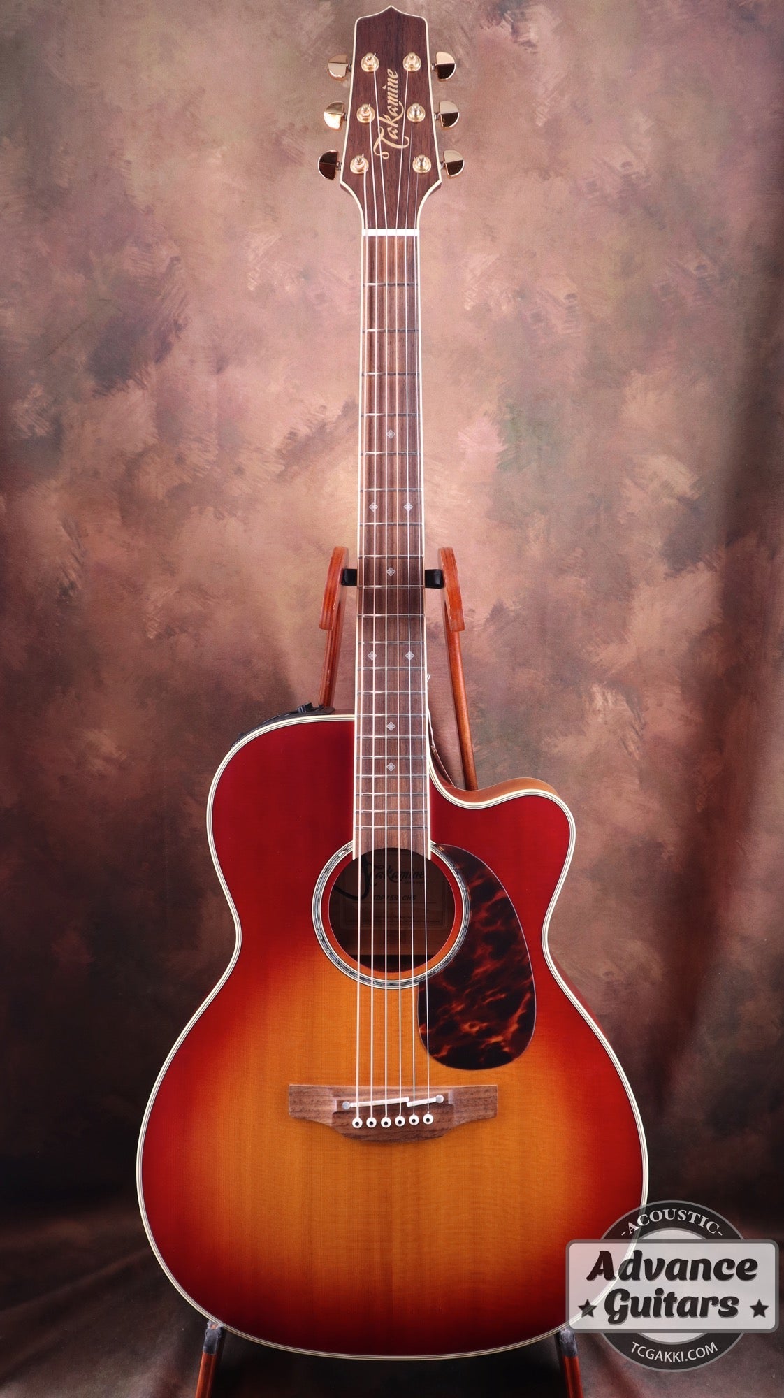 Takamine/タカミネ エレアコ/アコースティックギター ハードケース 鍵