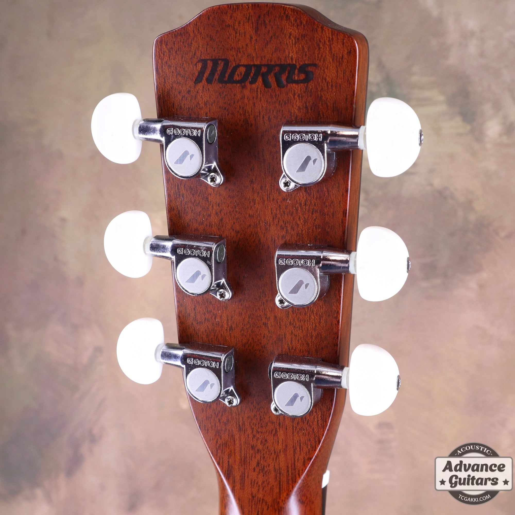 ギター DeliciousTaylormade FUXXONLY AntiguaLTD ギター