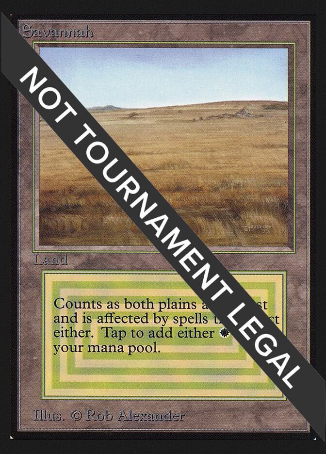 Savannah (IE) - International Edition - Magic: The Gathering