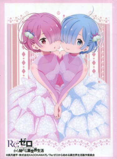 レム スリーブ 3つセット レム スリーブ 3つセット