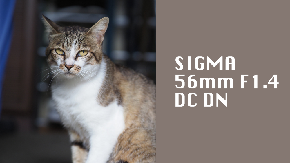 作例あり】SIGMA 56mm F1.4 DC DN （マイクロフォーサーズ用）を
