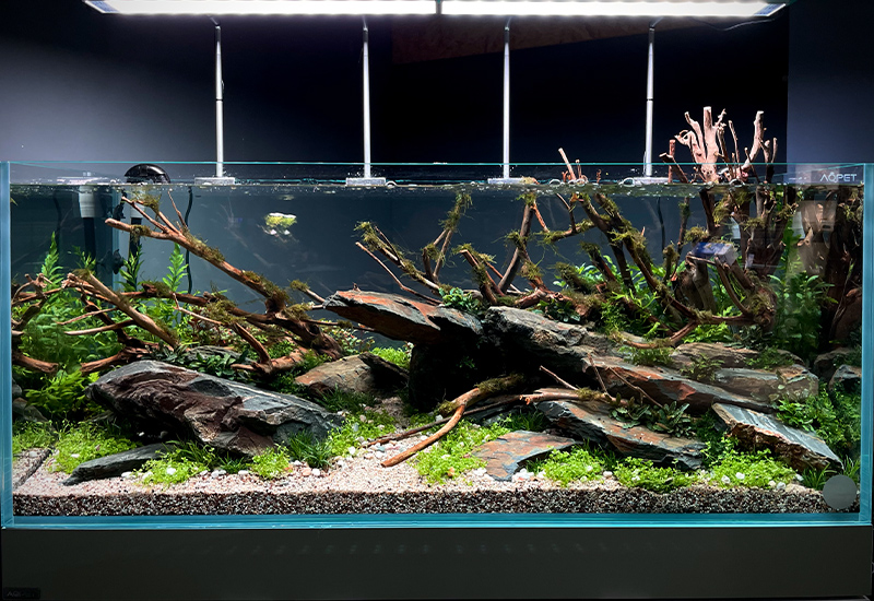 水槽用流木レイアウト 魚の水槽、 水草 用の流木。 流木 アクアリウム