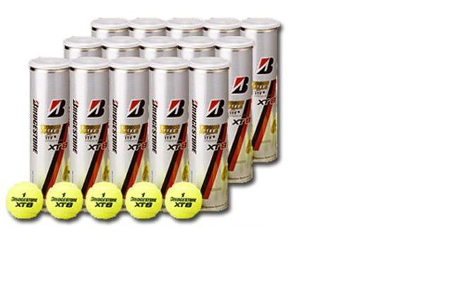 DUNLOP FORT BRIDGESTONE XT8