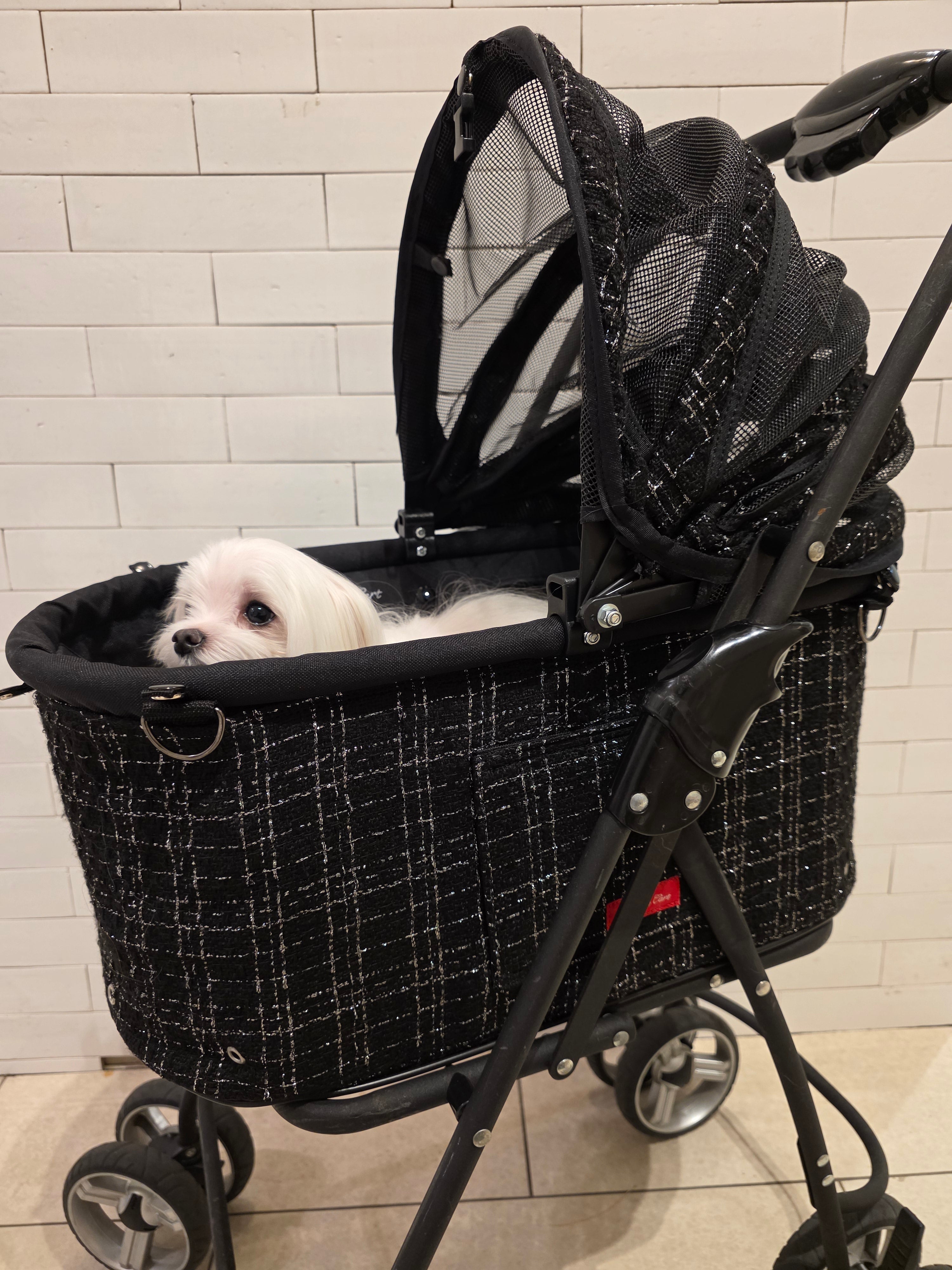 天使のカート【グリッターツイードコレクション】ブラック Sサイズ限定