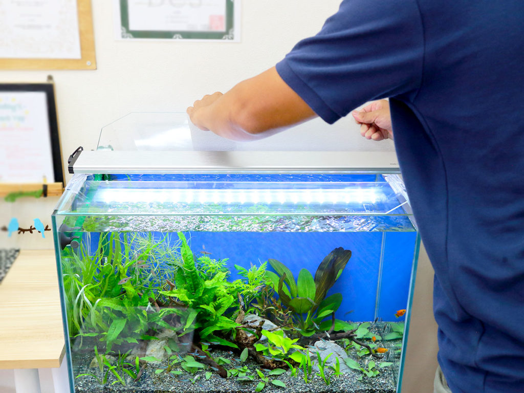 水槽照明 アクロ TRIANGLE LED BRIGHT 900 専用ライトスタンドセット