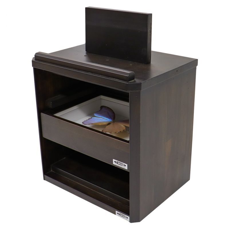 標本棚（ドイツ箱収納棚）ワンオーナー品