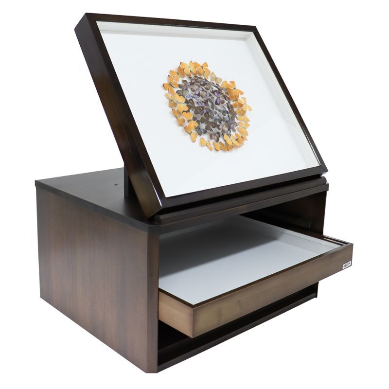 中古 ドイツ箱 大型4箱セット 黒2茶2 昆虫標本 二箱セット