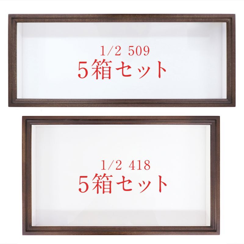 標本箱 大型ドイツ箱2個セット ドイツ箱マグネットコレクション