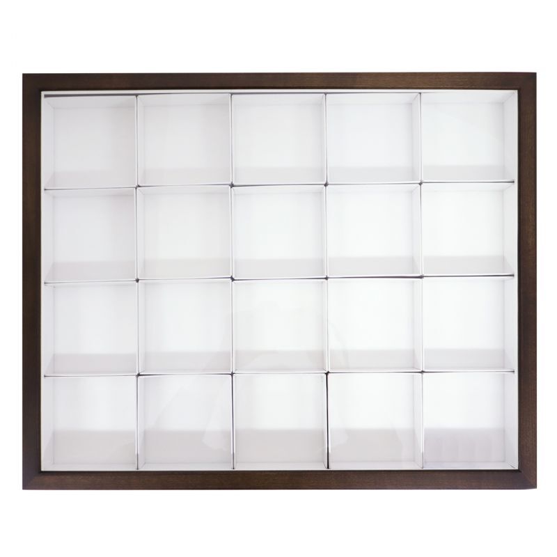 大型標本箱 2箱とペフ1枚 バードウィング製 ドイツ型標本箱 大型BW60