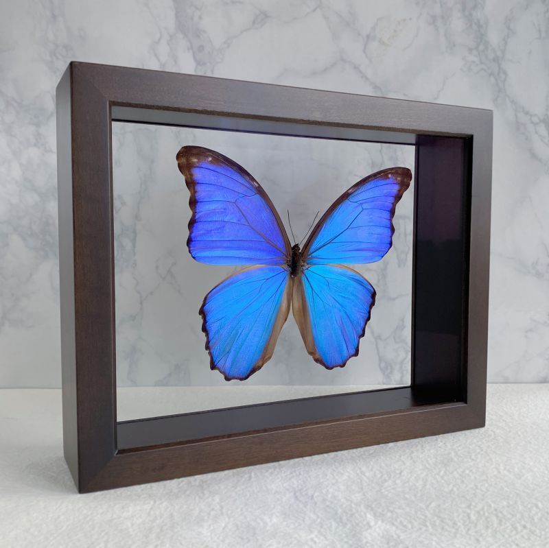 中古 ドイツ箱 大型4箱セット 黒2茶2