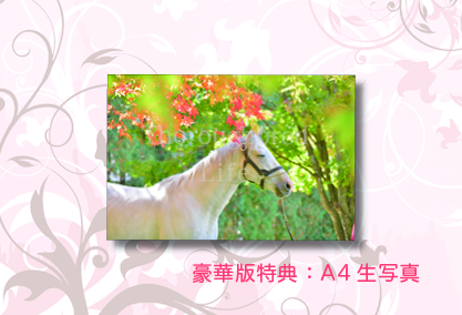 クラファン企画5○ゴールドシップ○作品写真集「GOLD SHIP」豪華版