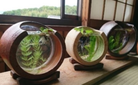 備前焼通販 ネットショップ オンラインショップ 東児の花窯 あかり