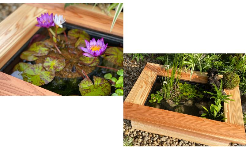 京の高級木枠（中）【AZ-BOXプラ舟サイズ・単品】 | 杜若園芸WEB