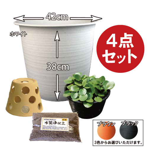 猛暑対策 プラ鉢 4点セット | 杜若園芸WEBショップ｜水草の生産販売