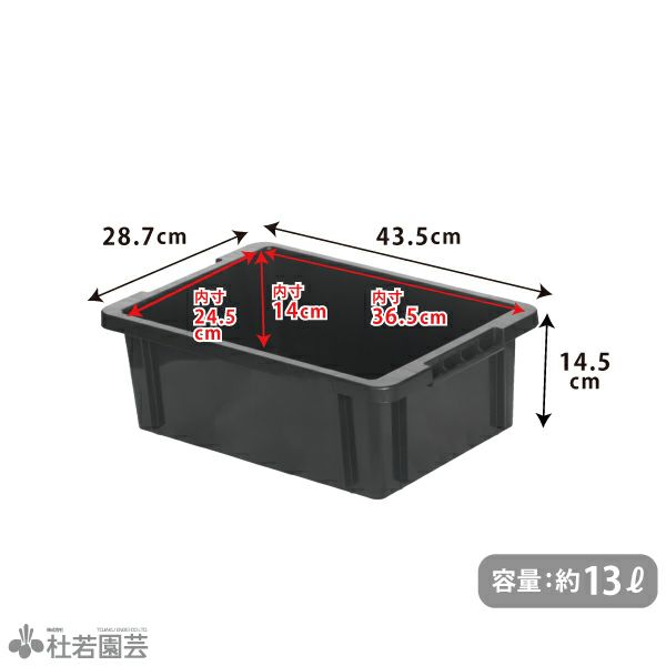 志賀ボール紙製硝子蓋標本箱【大型】Ver.2024 : インセクテック