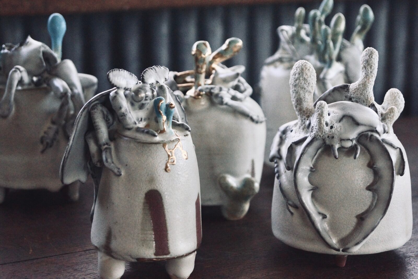 陶蟲夏草】新たな作品が入荷しました | 蟲と焼菓子 昆蟲菓舗 灯螂舎