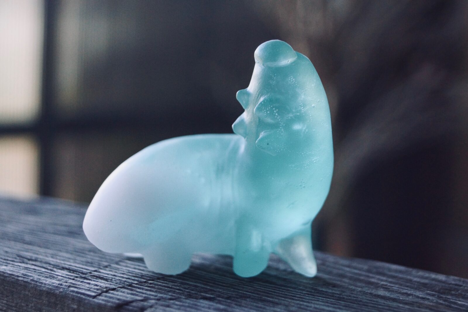 芝崎由華】新たな作品が入荷しました | 蟲と焼菓子 昆蟲菓舗 灯螂舎