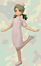 それゆけ！女性自衛官 Vol.5 陸上自衛隊編 【ピットロード】