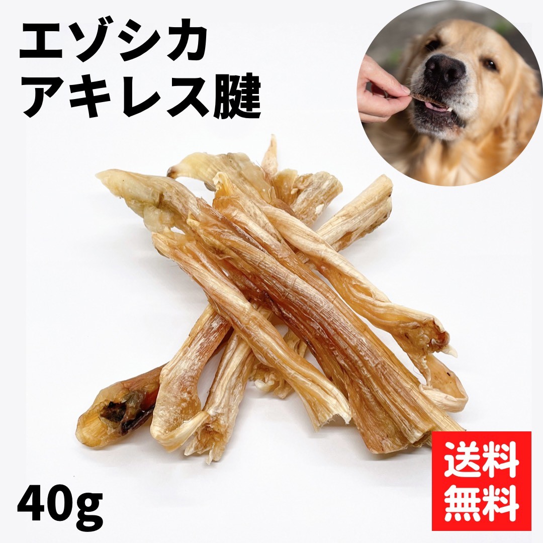 楽天市場】〈鹿アキレス腱 40g〉 エゾ鹿 アキレス 30g アキレス腱 犬