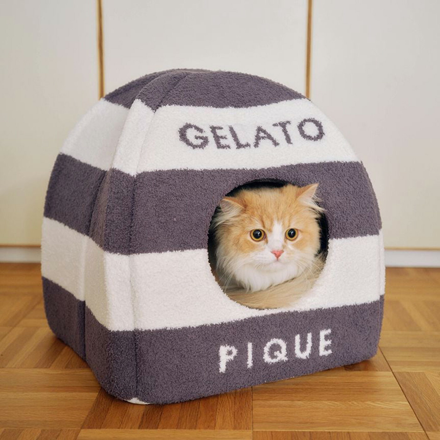 楽天市場】ジェラートピケ gelato pique CAT&DOG 販路限定商品 ベビ