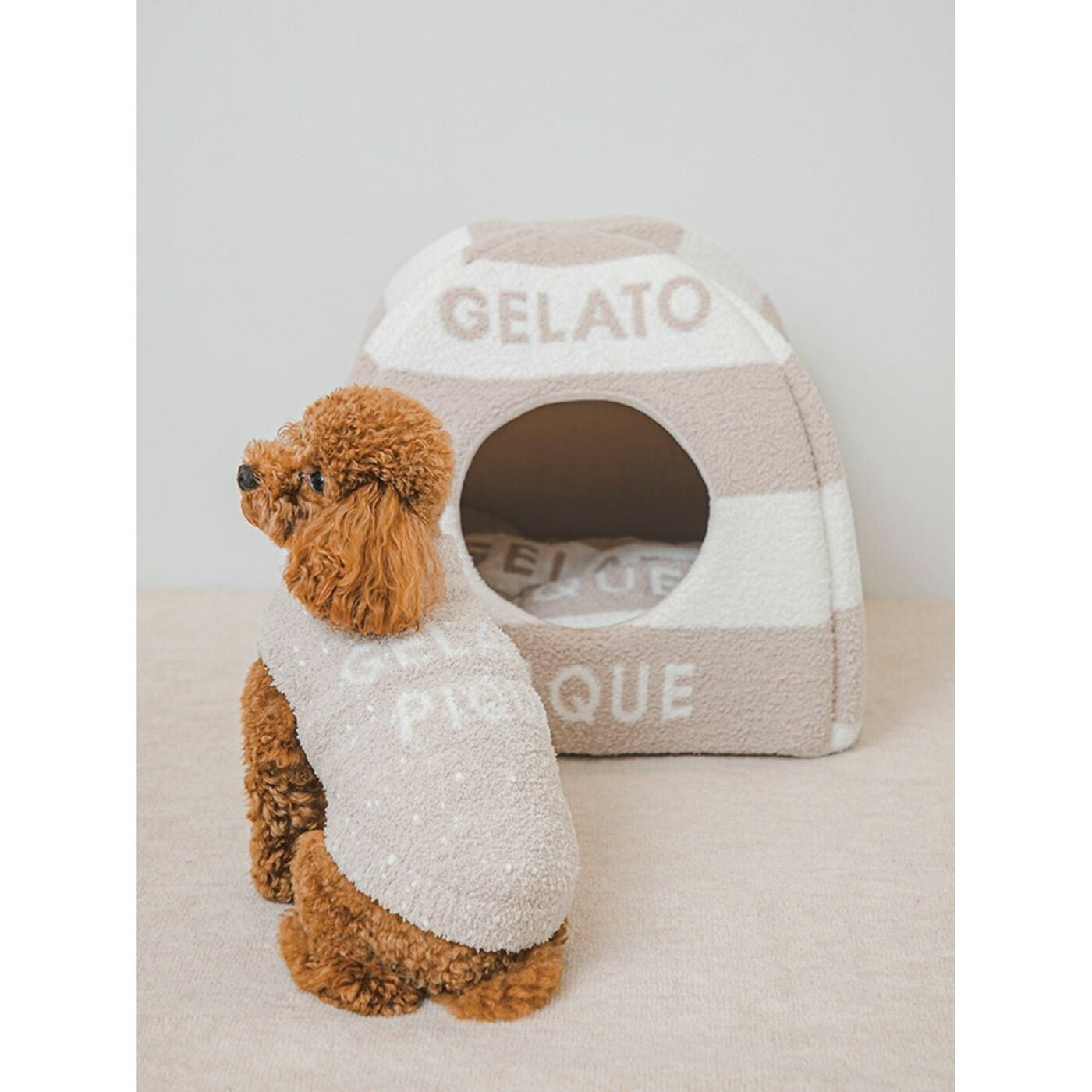 楽天市場】ジェラートピケ gelato pique CAT&DOG 販路限定商品 ベビ